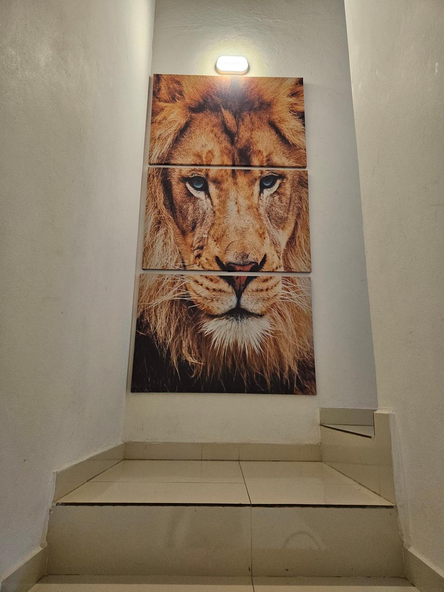 הוילה Casa Girassol פאראטי מראה חיצוני תמונה